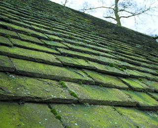 Roof Cleaning Farmington MI